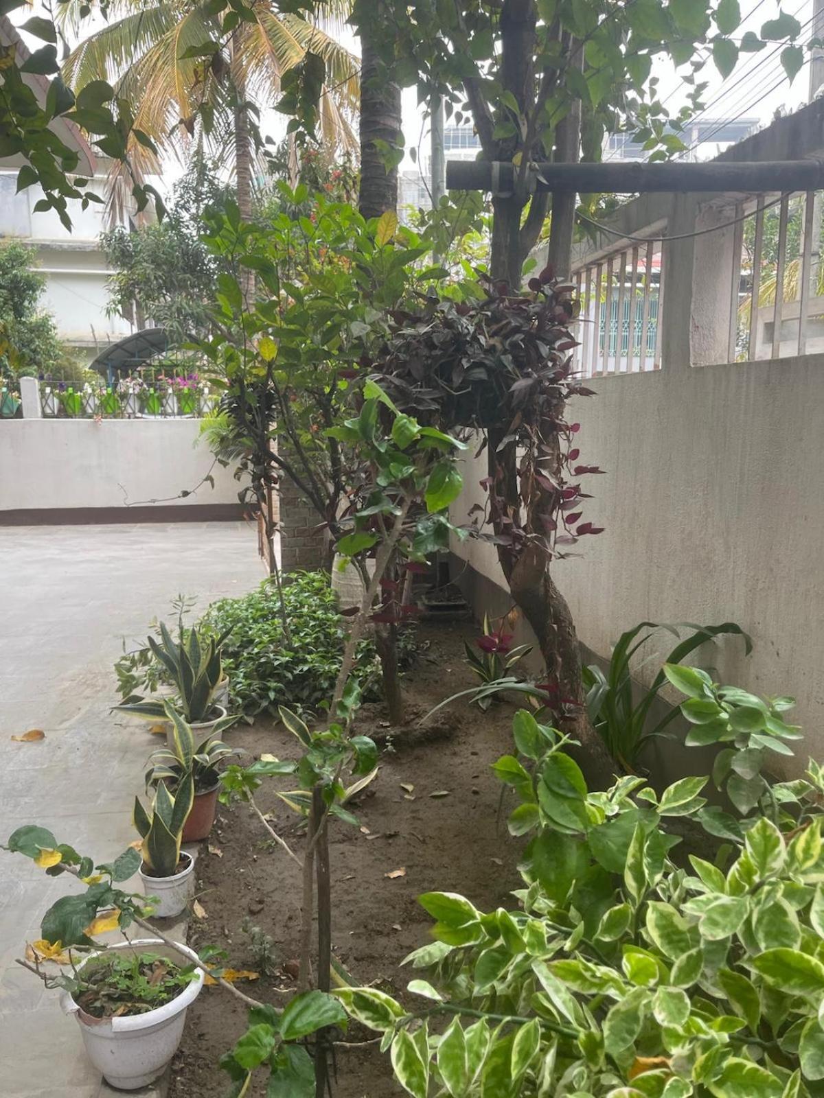 Amazing Homestay Guwahati Exteriör bild