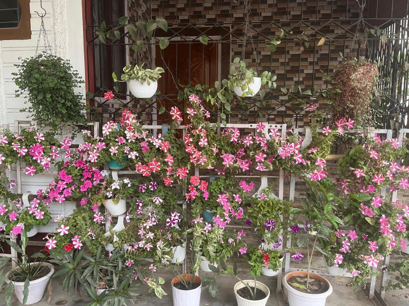 Amazing Homestay Guwahati Exteriör bild