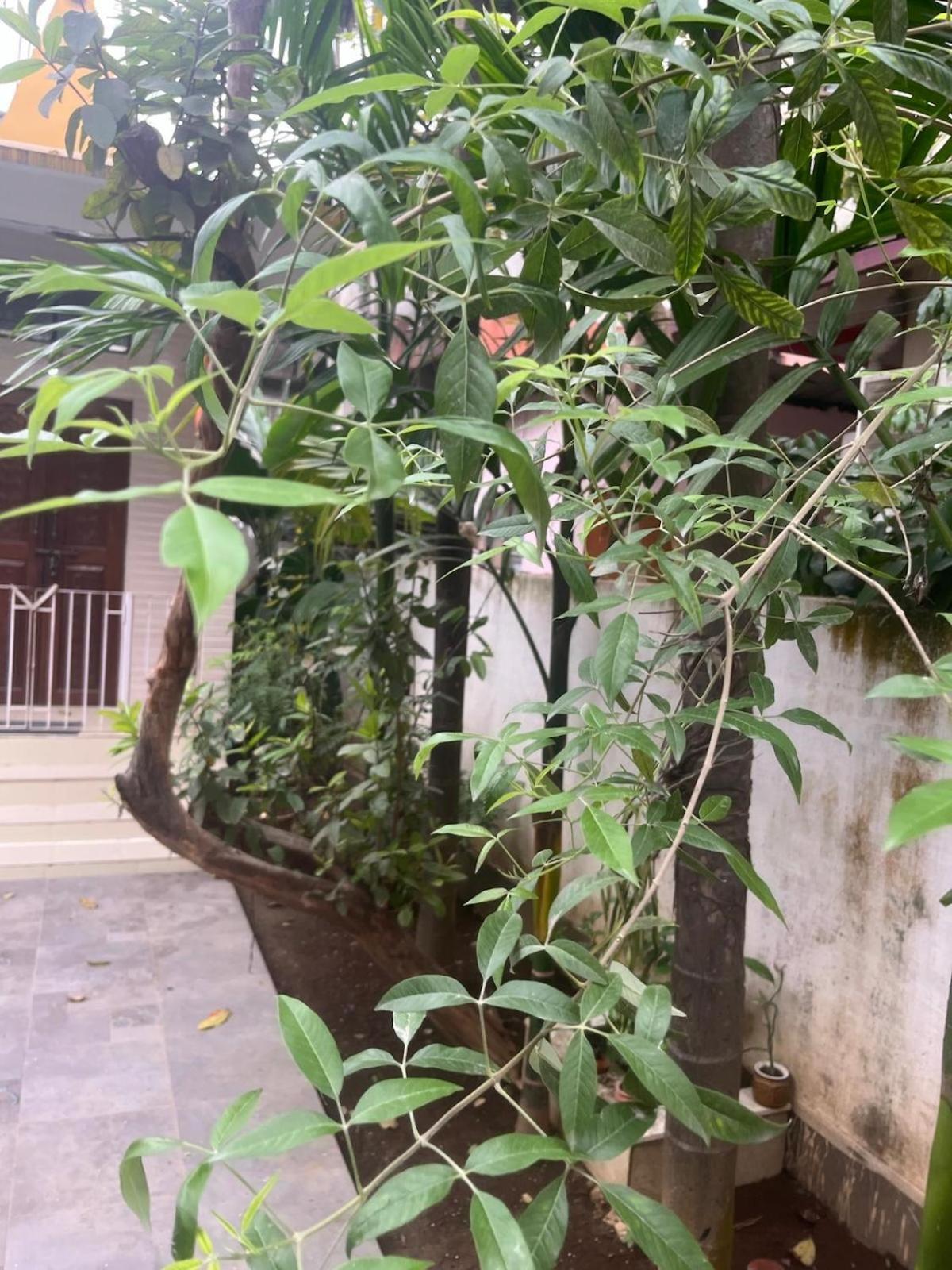 Amazing Homestay Guwahati Exteriör bild