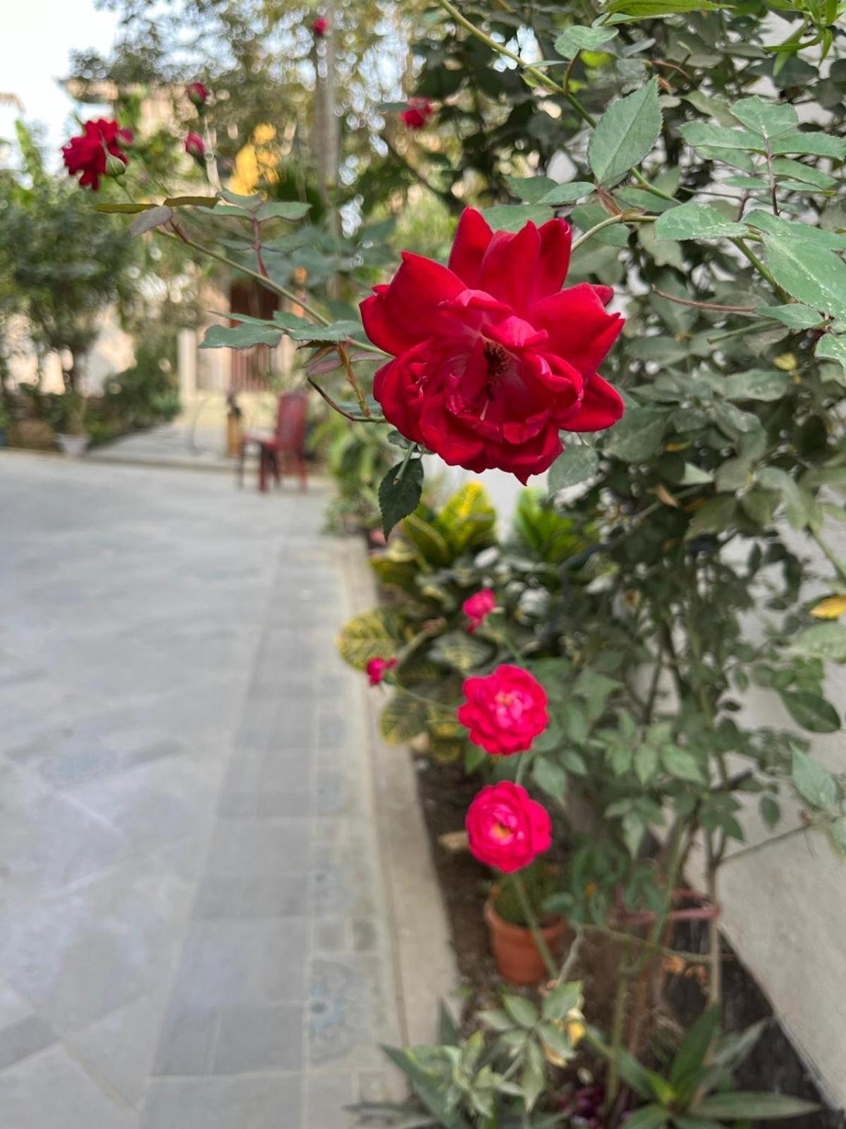 Amazing Homestay Guwahati Exteriör bild